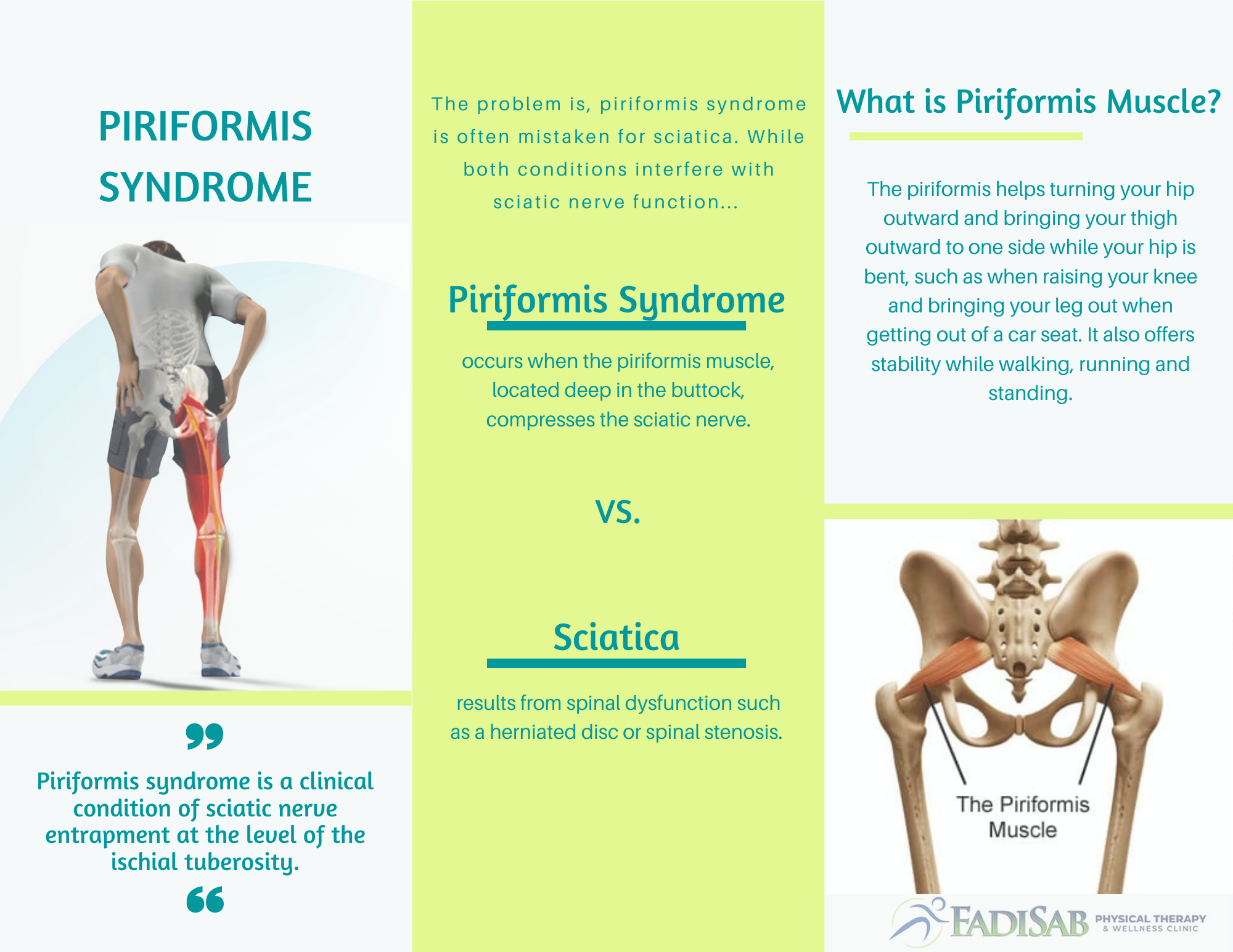 Back Pain And How To Treat It Fadisab Clinic